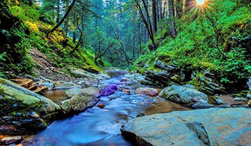 the_streams_and_deodar_forest_dotted_with_temples_and_likhai_houses_are_the_charm_of_jageshwar
